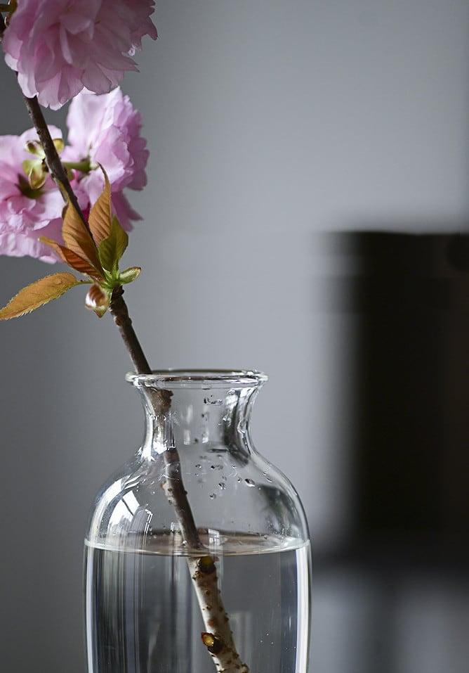 Japanese Handmade Hydroponic Plant Transparent Glass Vase - mokupark.com