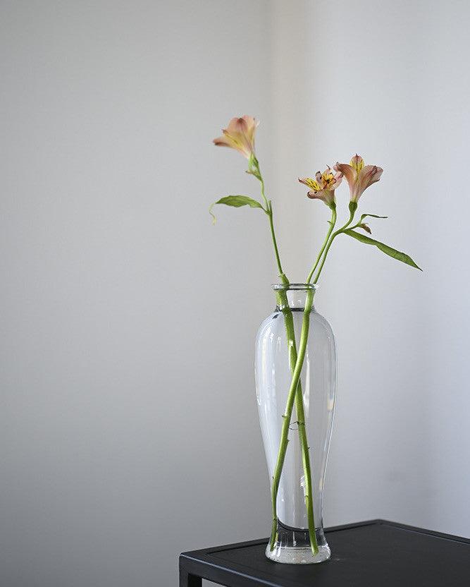 Japanese Handmade Hydroponic Plant Transparent Glass Vase - mokupark.com